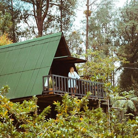 Cardinal Glamping Hotel Guatapé Kültér fotó