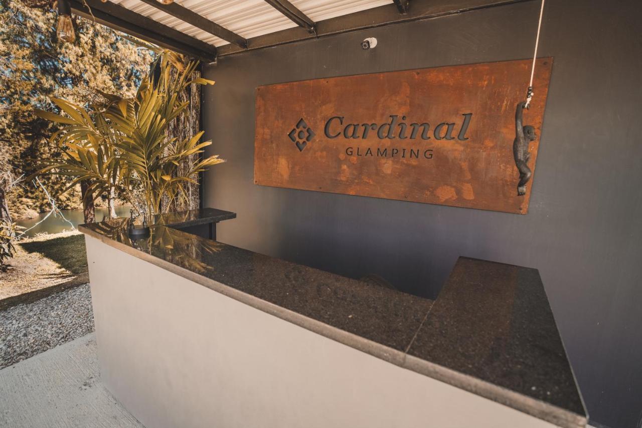 Cardinal Glamping Hotel Guatapé Kültér fotó